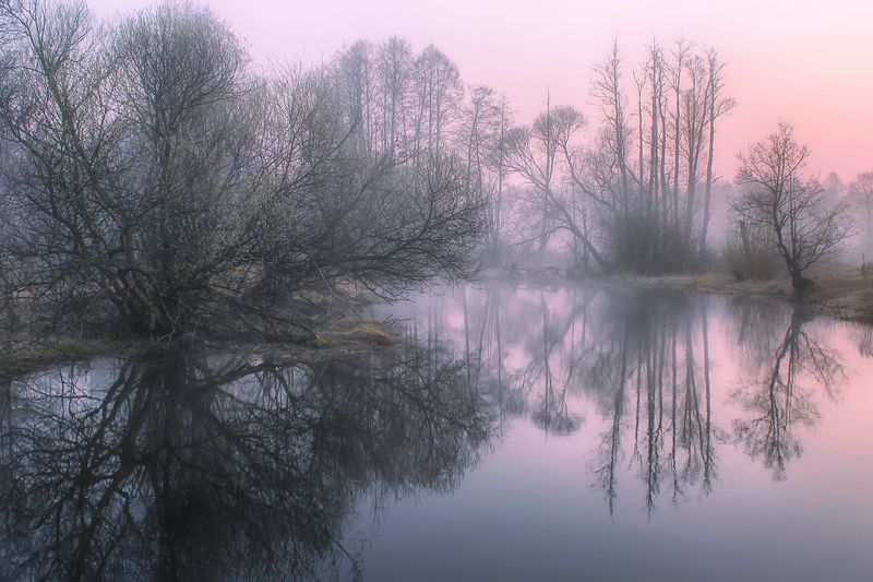 ********photo preview