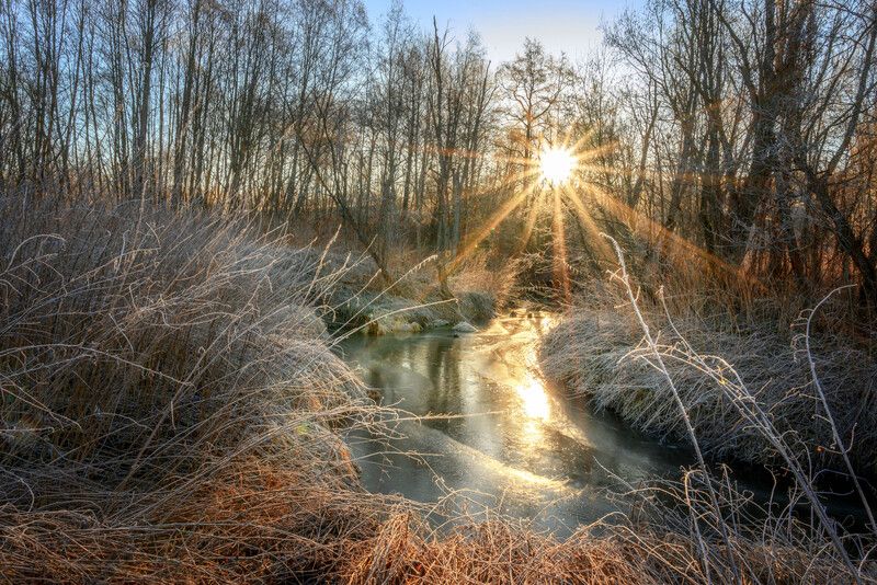 Весна идёт....photo preview