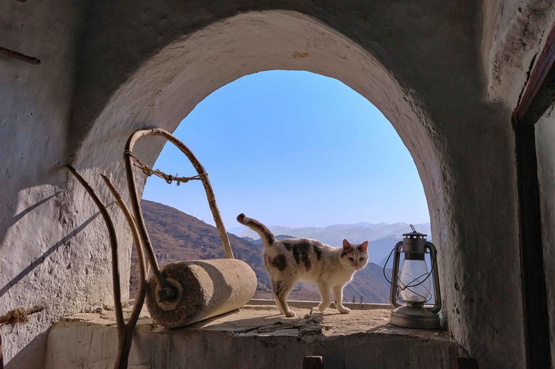 Краеведческий музей, Село Чох, Дагестан Главный экспонат фото превью