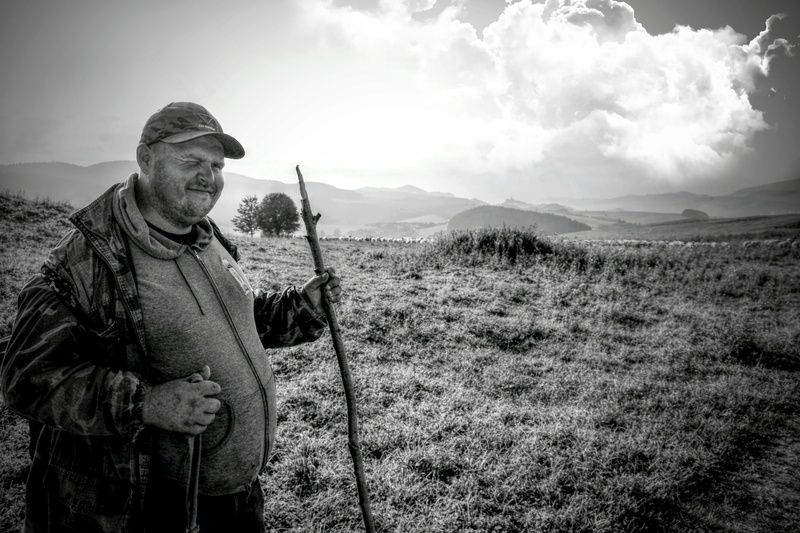 On the way to the pasturephoto preview