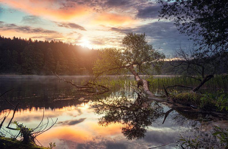 Тишина над водойphoto preview