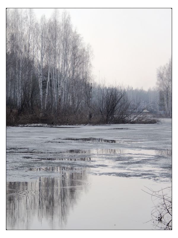 Март на лесном озереphoto preview