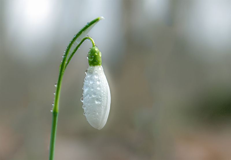 Минимализм.photo preview