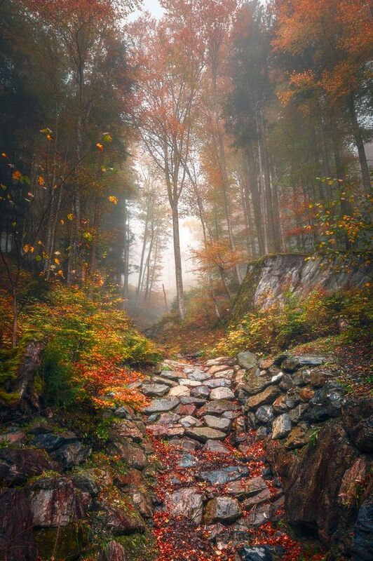 oсенняя рекаphoto preview