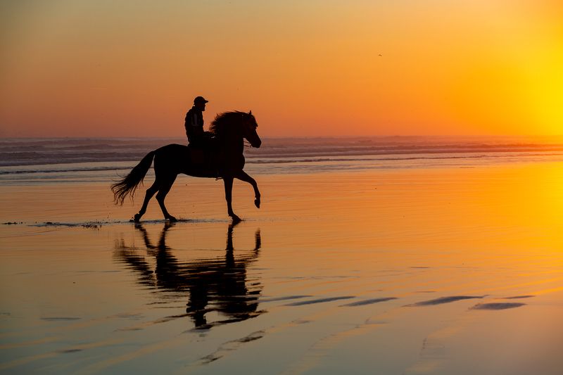 Riding the horsephoto preview