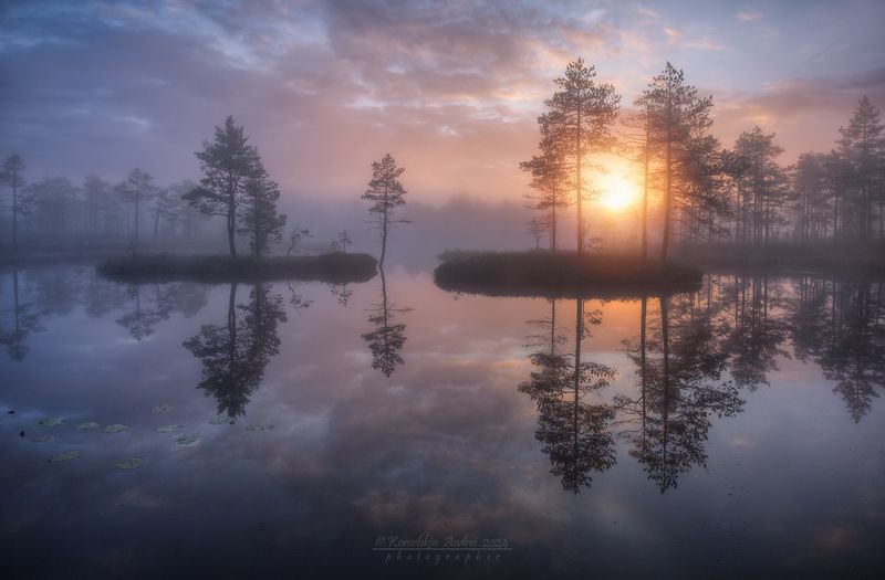 ... рассветный свет ...photo preview