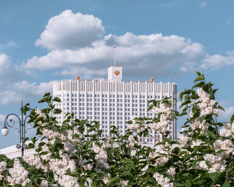 весна, москва, сирень, дом правительства, moscow, spring photo preview