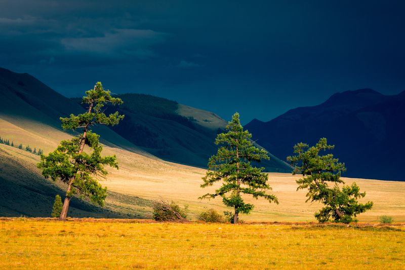 Алтай, закат, деревья, горы Три сестрыphoto preview