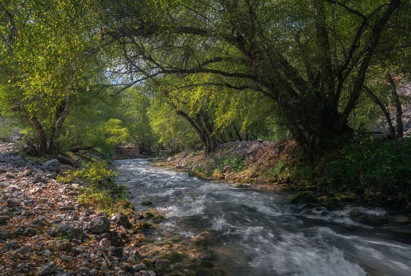 узбекистан. испай. У горной речки Испай- сай.photo preview