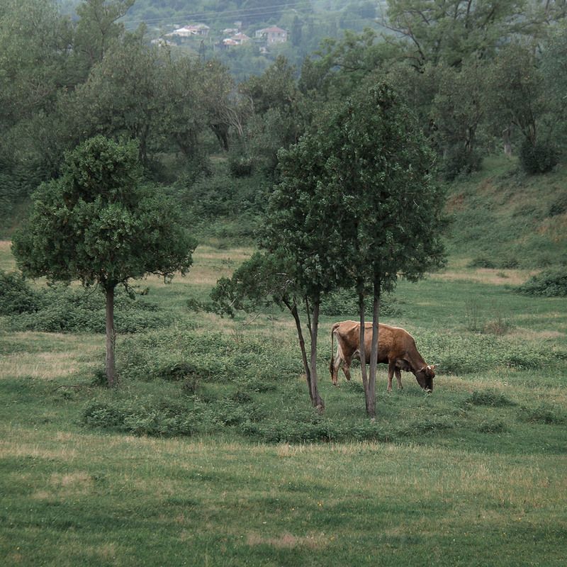 Кусочек тишиныphoto preview