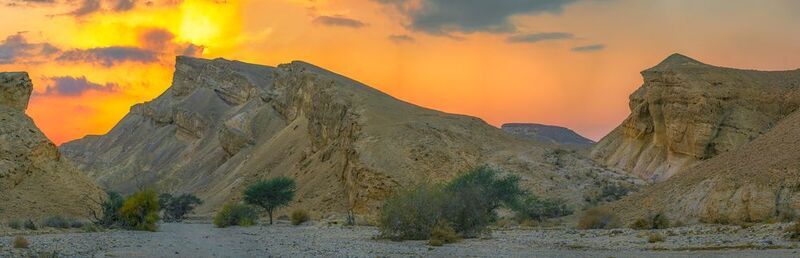 На закате дня фото превью