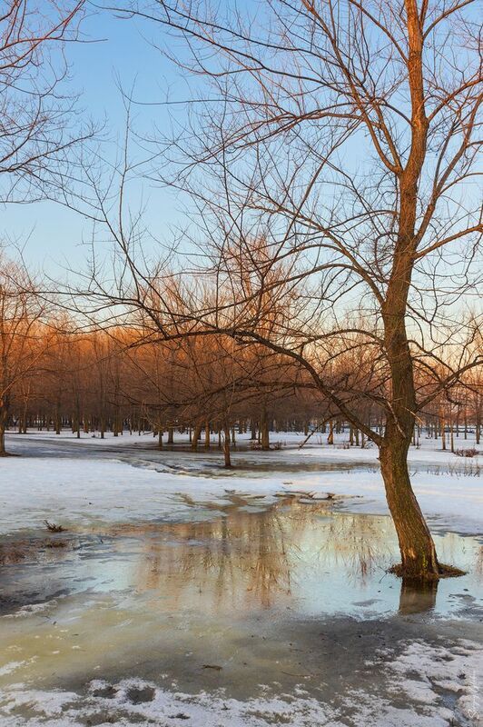 март весна оттепель Мартphoto preview