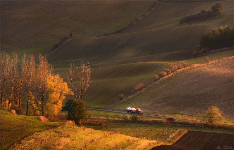 чехия, южная моравия, czech, south moravia, фототур, фототуры 2025, phototravel.pro Битва за урожайphoto preview