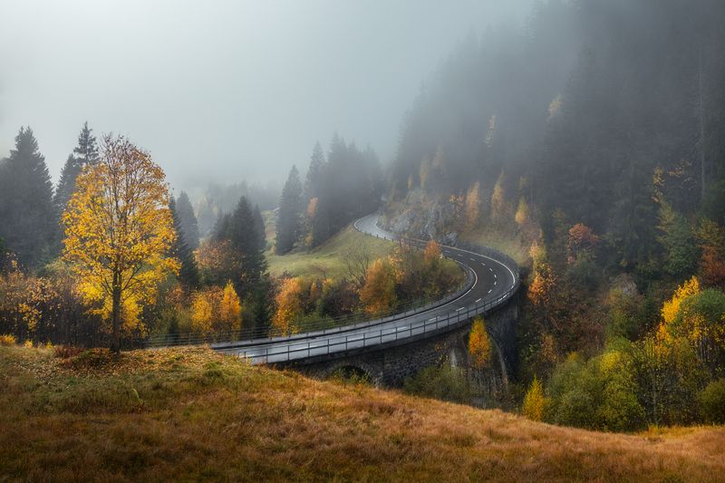 foggy,autumn.photo preview