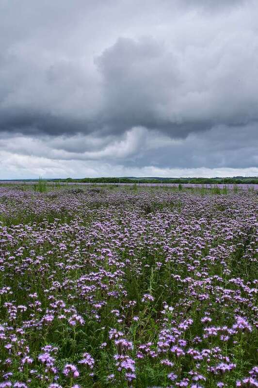 volgograd, russia, landscapes,  #photo preview