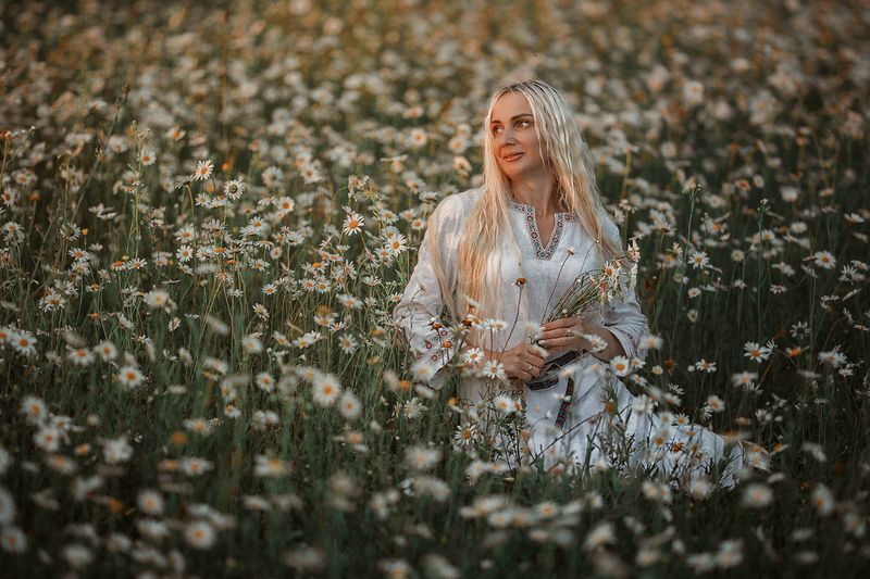 Ромашкиphoto preview