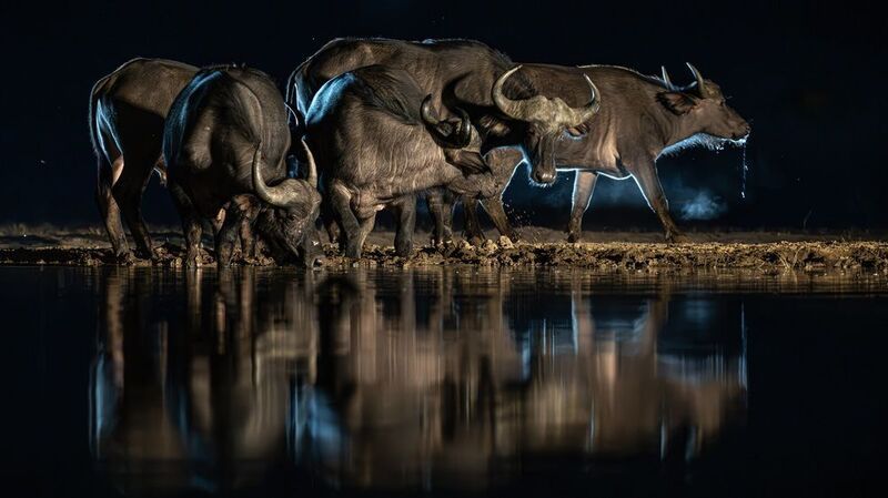 кения photo preview