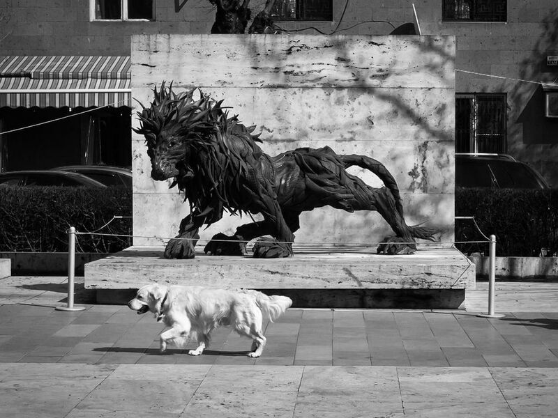 Последователь (Follower)photo preview