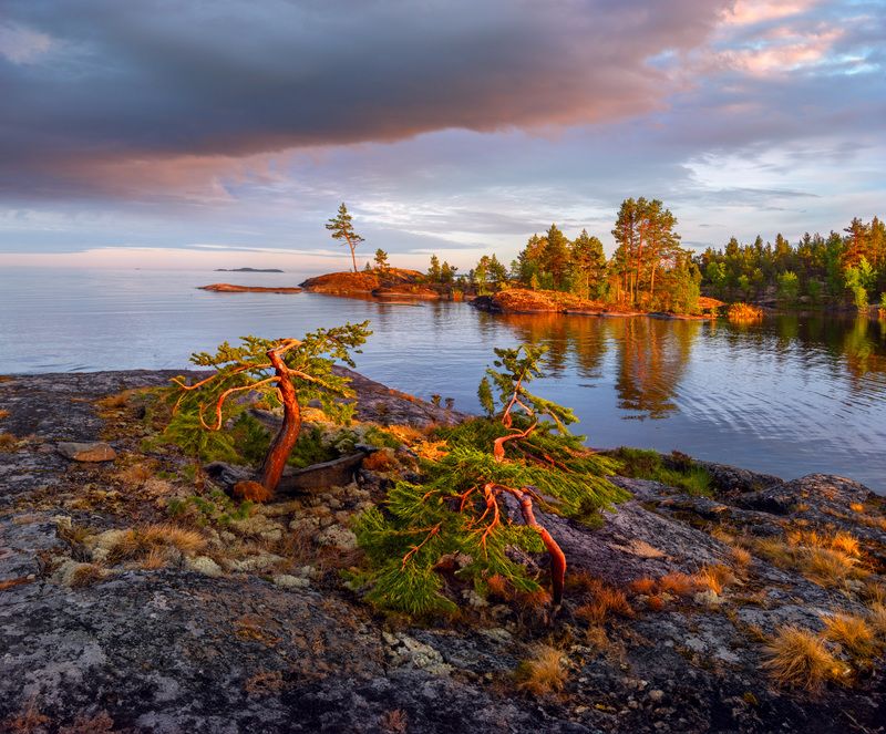 Фототуры с Владимиром Рябковым, #topnature #russpasibo #magic_shots #lovelyRussia #sunset_vision #exclusive_sky  #exclusive_shots #loves_russia2 #photoarena_nature #nature_sultans #nature_perfection #rsa_sky #rsa_sunset #photorussia #rsa_naturepics #sunse На Ладоге.  фото превью