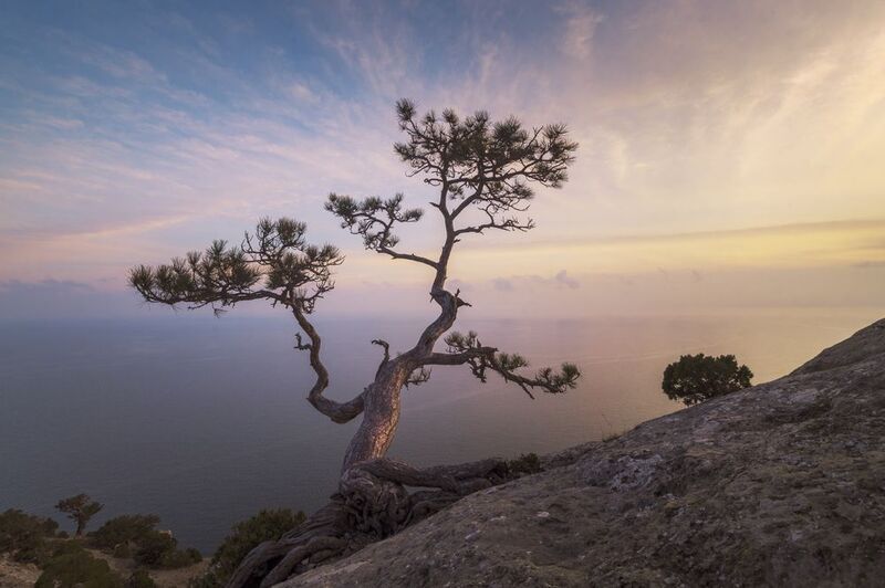 крым Весна. Крымphoto preview