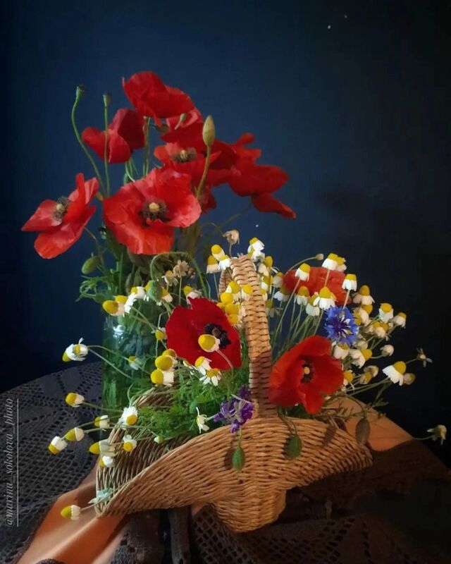 #мобильноефото #весна #маки Про маки.photo preview