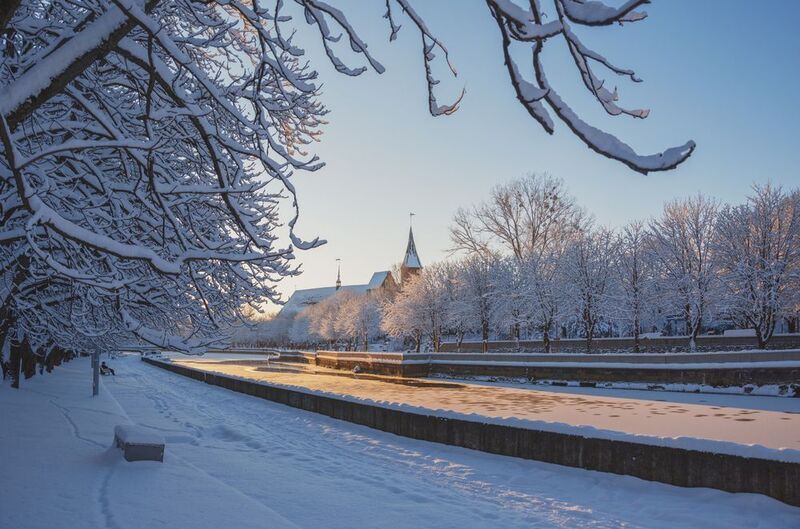 Калининград, Кафедральный, Собор, Архитектура, Зима, Утро, Рассвет, Мороз  Königsberg Cathedralphoto preview
