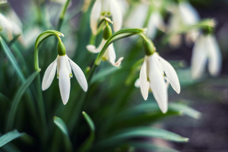 Весна пришлаphoto preview