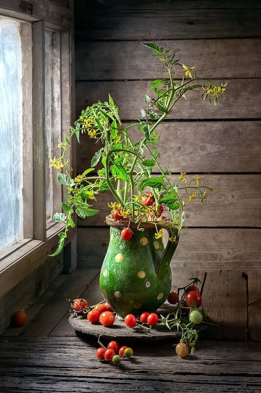 Paradicsom zöld korsóbanphoto preview