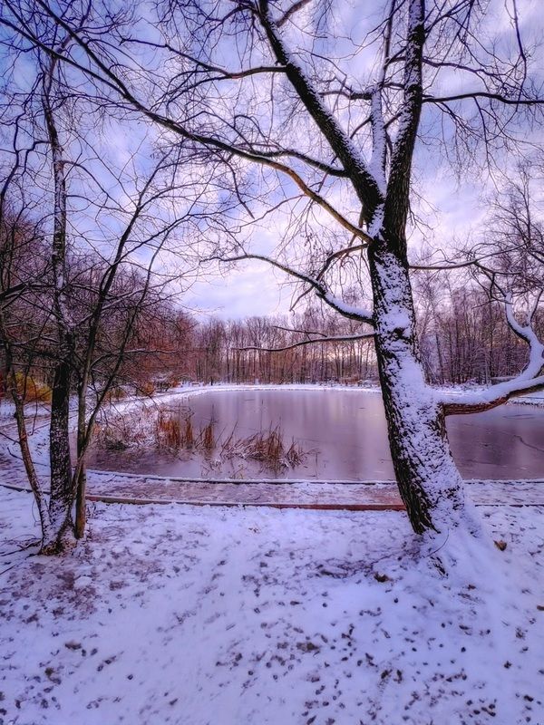 зима, winter, landscape, природа, nature, пейзаж, лес, forest, закат, sunset ***photo preview