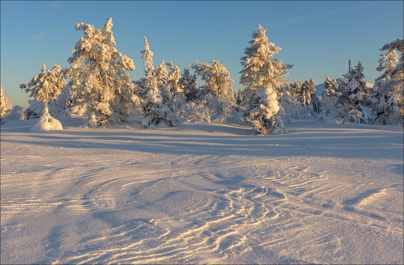Заполярье в феврале (окончание)photo preview