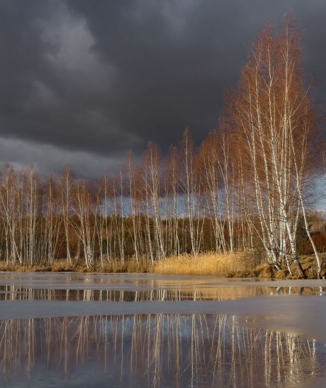 март весна лёд отражение деревня серково Пригревает. Март.photo preview