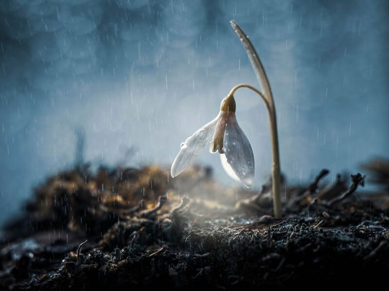 Дыши весной! фото превью