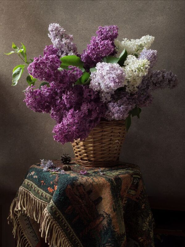 Все равно наступит май...photo preview