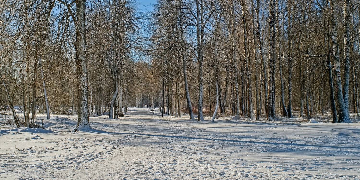 , Орлов Олег