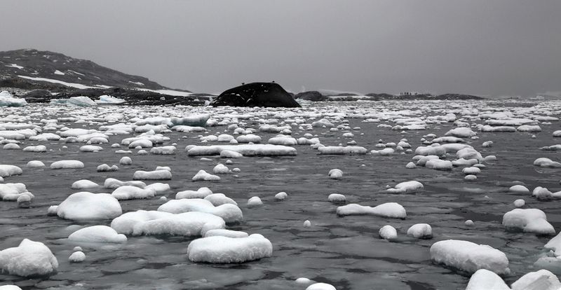 BW Worldphoto preview