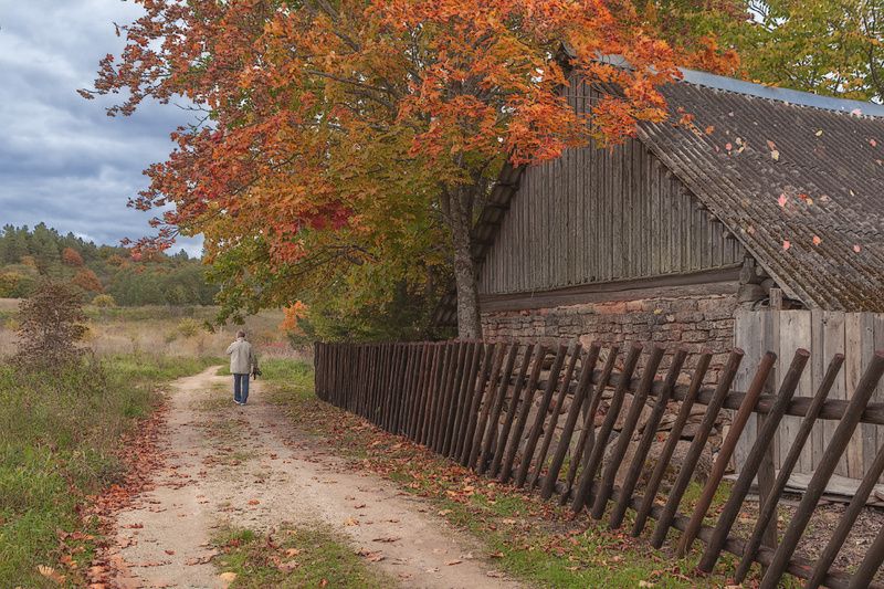 природа, небо, осень По дороге в осень...photo preview