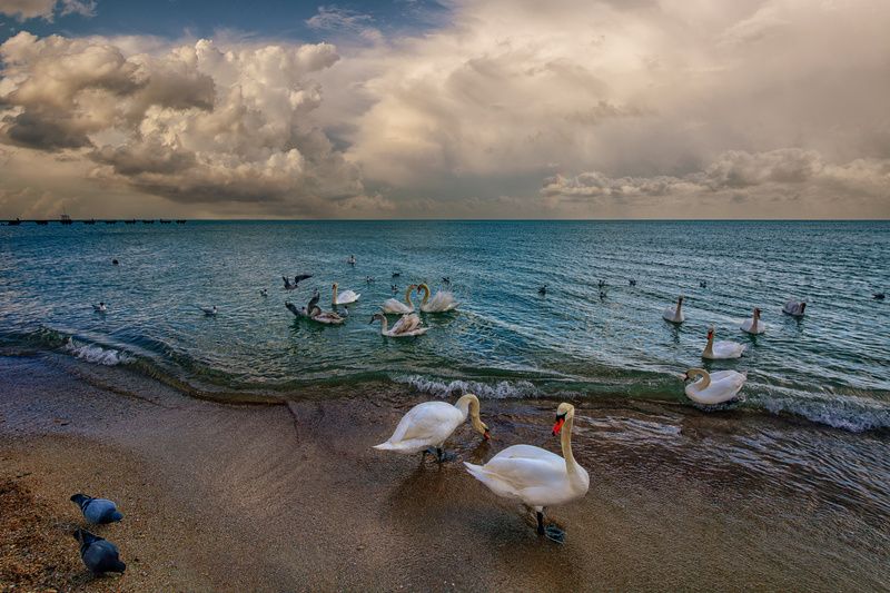 Весна но не этаphoto preview