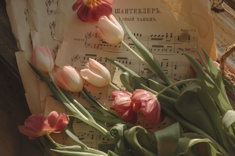 Шантеклерphoto preview