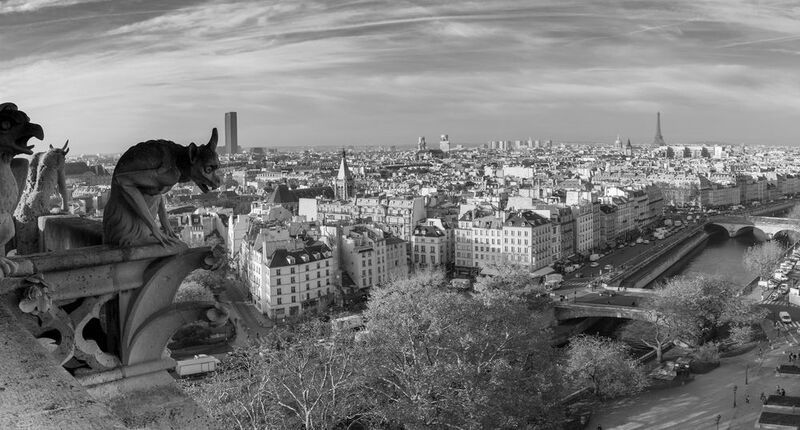 нотр-дам, париж Вид с Нотр-Дам на Парижphoto preview