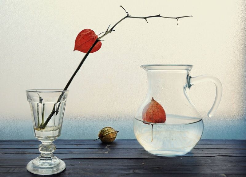 Настойчиво кто-то велит: забудь про потери!photo preview