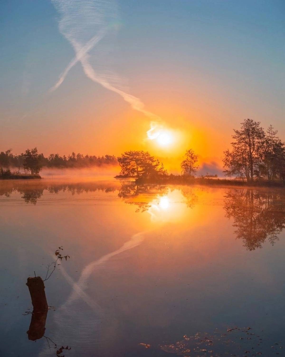 , Петр Косых