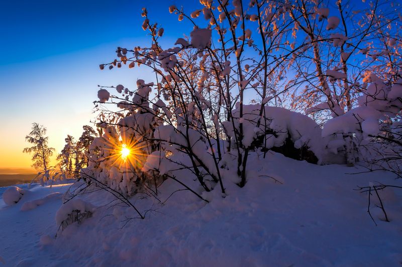 Зимнее солнцеphoto preview