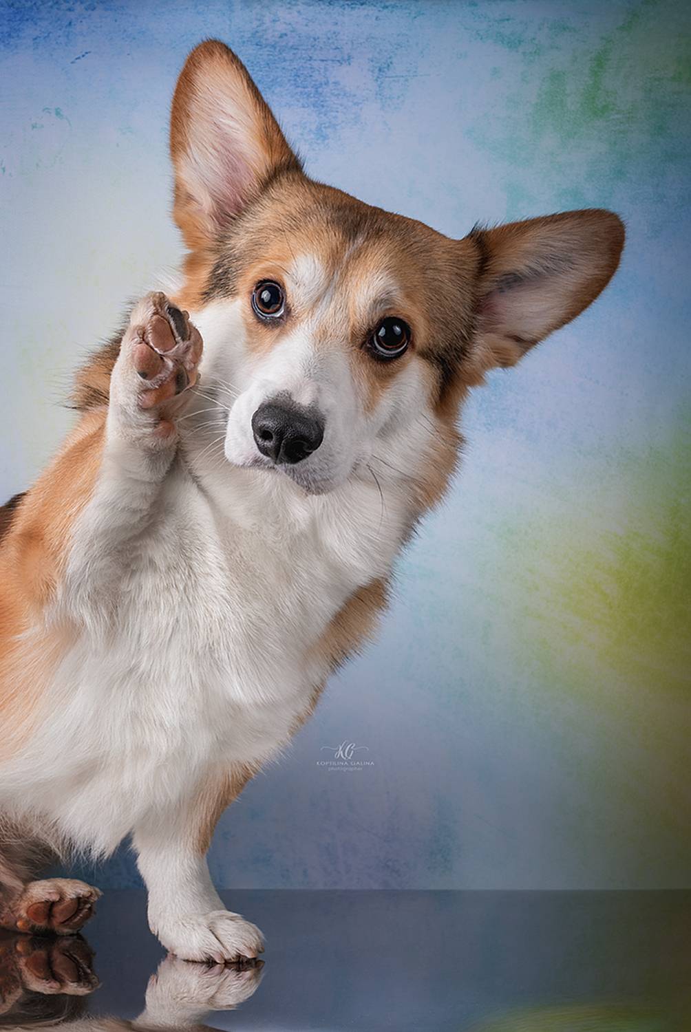 , Коптилина Галина