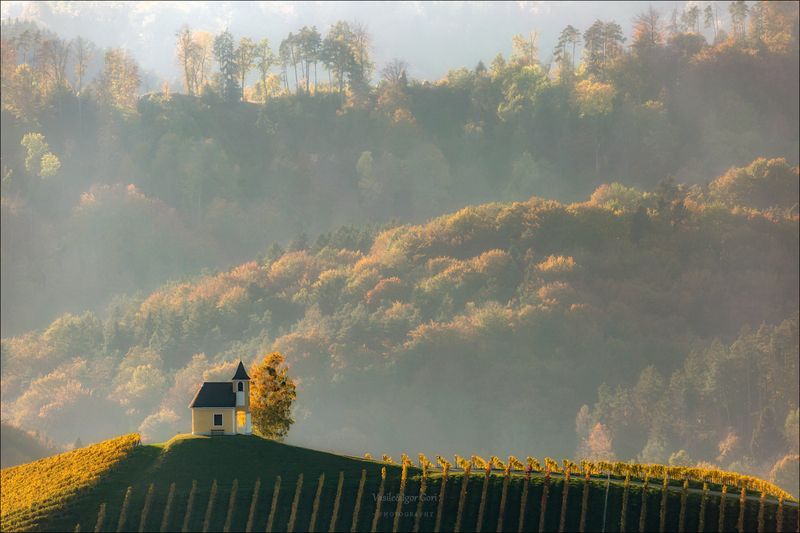 dreisiebner kapelle,свет,часовня,штирия,chapel,гамлитц,австрия,gamlitz- sernau,landscape,панорама,осень,rural,дымка Часовенка в закатной дымке фото превью