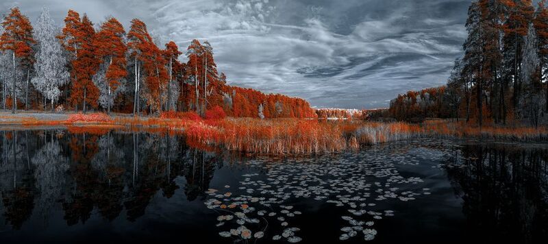 infrared, ик-фото, инфракрасное фото, инфракрасная фотография, пейзаж, осень Дождаться вечера фото превью