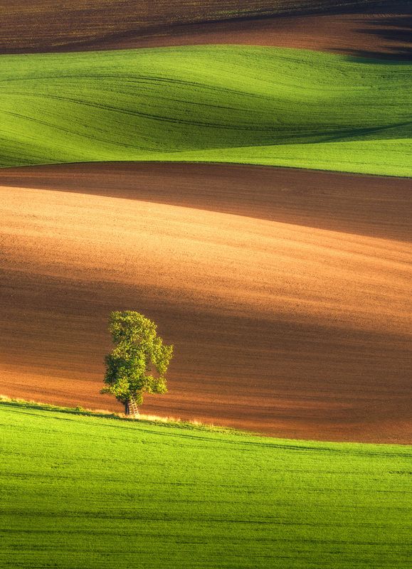 Moravia, tuscany, toscana, bohemia, czech, spring Springphoto preview