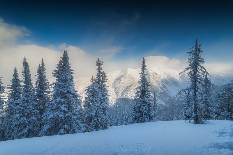 лес, республика бурятия, зима, снег Зимняя сказка в горах фото превью