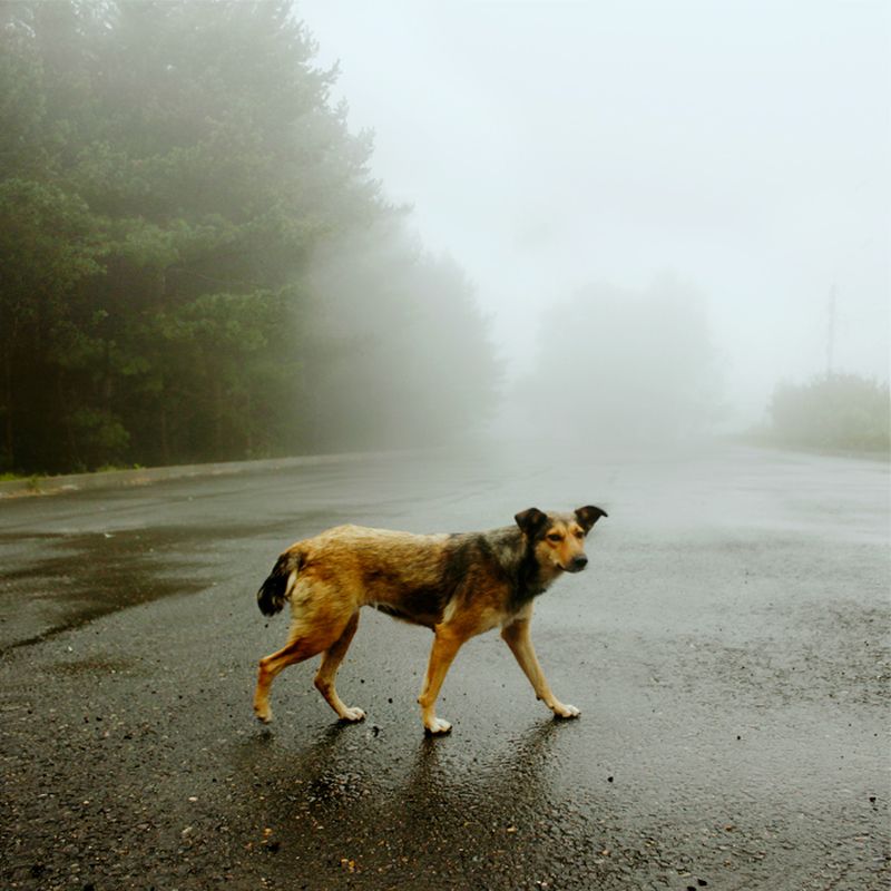 Untitledphoto preview