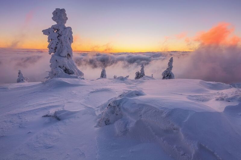 landscape Zimní ráno na hřebeni (Jeseníky - Červená hora)photo preview