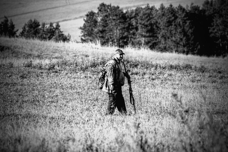 On the way to the pasture 4photo preview